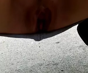 另一种猫