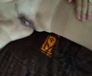 成熟与桂
