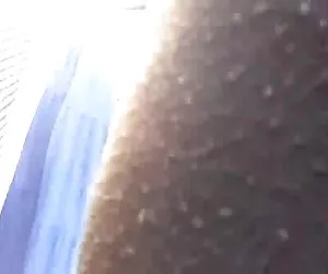 Cicero的工作不是的
