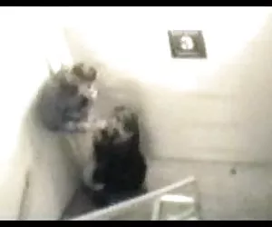 公共性捕捞的安全摄像机001