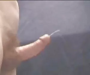 没有手汇编