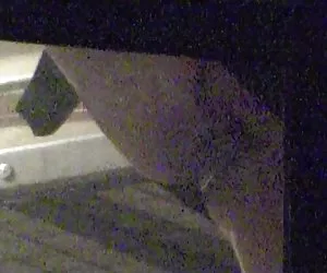 欧洲邻闪烁猫咪,咪咪,屁股裂缝