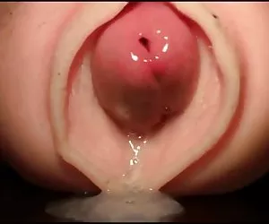 反饼与fleshlight