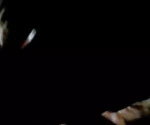 阿拉伯票的票阿尔及利亚