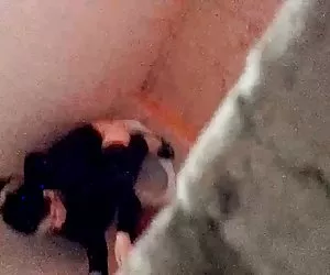 越南的间谍卫生间
