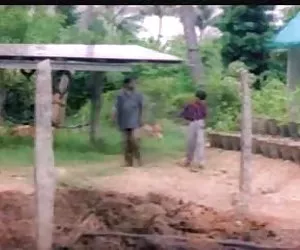 在令人敬畏的胸部