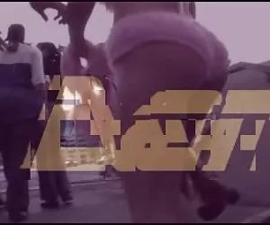 缔约方x舞的仓鼠