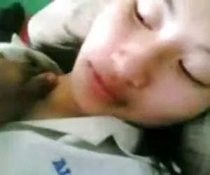 甲普瑞的猿tu