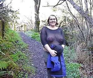 线控制动闪烁的乳房车