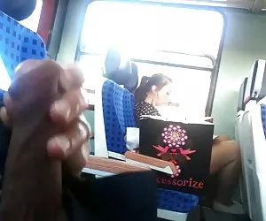 火车闪闪烁与暨