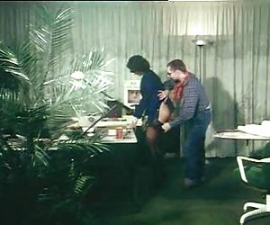 性别与秘书，任何老板，色情