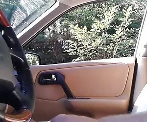 害羞看我的车闪