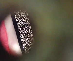 隐藏的摄像头鱼11