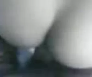 马来主教练。