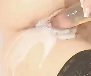 我的湿猫