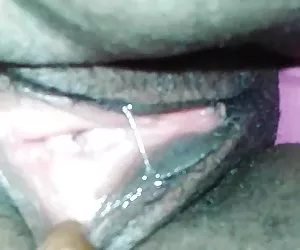 猫独立的2
