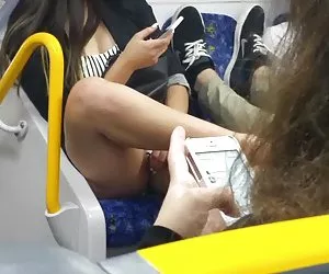 澳大利亚猫青少年中的城市zheleznodorozhny